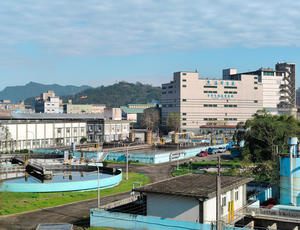 Liu-Du